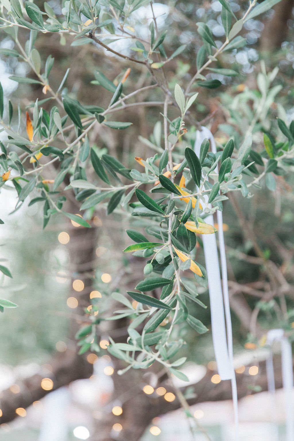 Boho Wedding Ithaca Greece